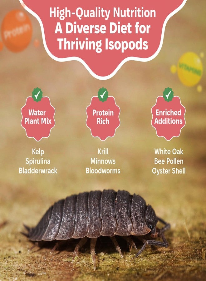 Snout and Shell Isopod Colony Builder - Daily Driver, Garden Foraging, and Wetland Foraging Bundle - Image 5